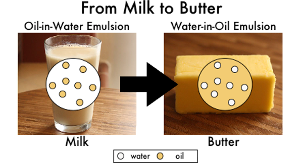 IV. Factors Affecting the Stability of Butter Emulsions